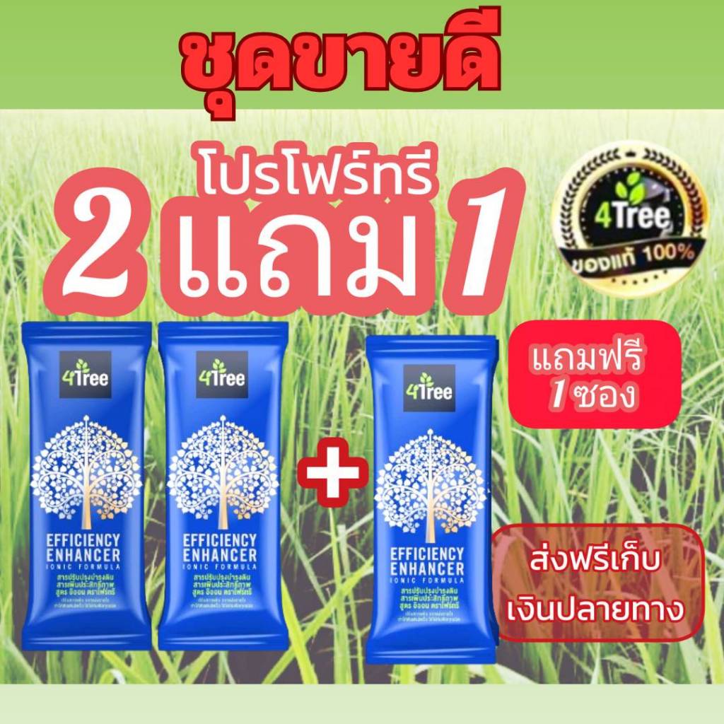 4Tree โฟร์ทรี 4ทรี โฟที สารเพิ่มประสิทธิภาพพืช พร้อมโปรพิเศษ 2 แถม 1 ...