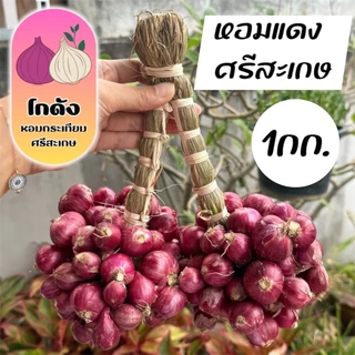 หอมแดงศรีสะเกษ กำแต่ง แท้ 1กิโลกรัม photo