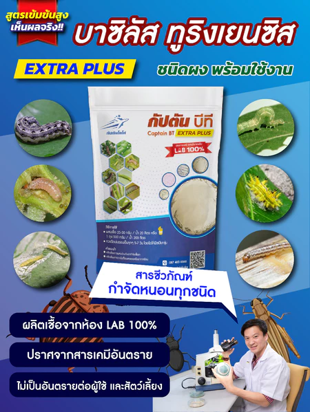 กัปตันบีที สูตรเข้มข้นเชื้อ 2 เท่า อัพอาหารเชื้อ บาซิลลัส ทูริงเยนซิส แบบผง(500กรัม) ปลอดภัย 100%