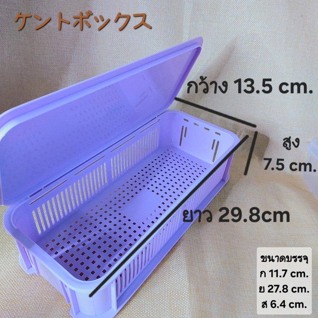 kent boxケントボックスกล่องพลาสติก พร้อมฝา ช่องระบายอากาศรอบตัวกล่อง เหมาะใส่ ...