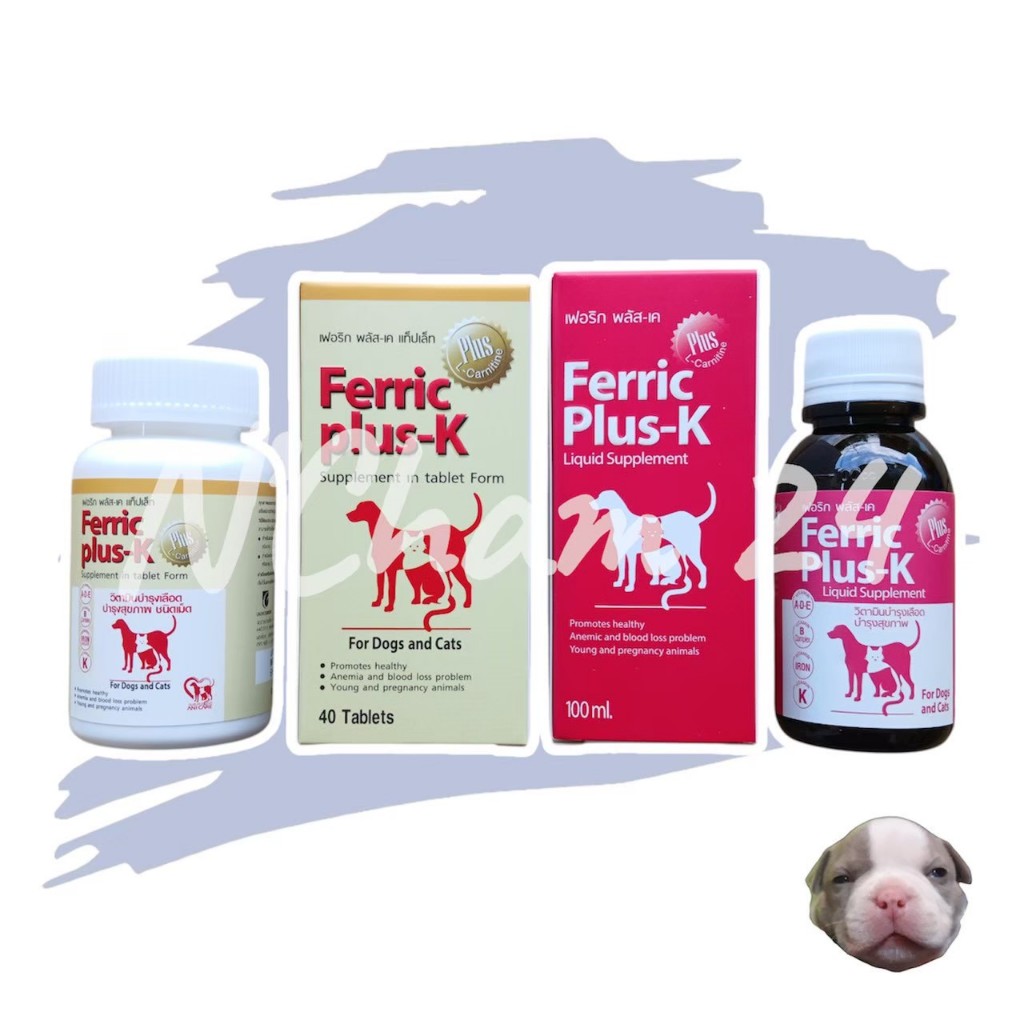 Ferric Plus-K วิตามินบำรุงเลือด