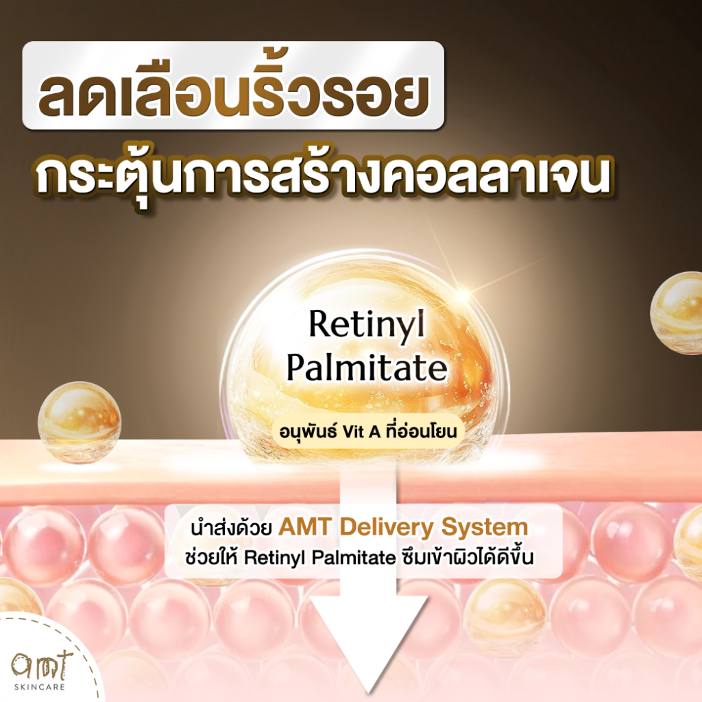 [1 ซอง] AMT Night Cream ขนาด 5 g - ไนท์ครีมลดเลือนริ้วรอย ต่อต้านอนุมูล ...