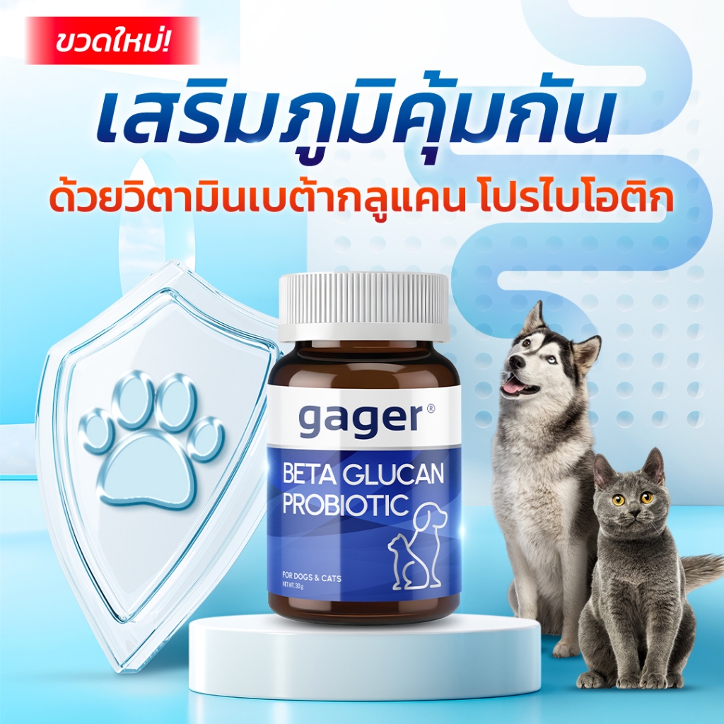 Gager กาเจอร์ วิตามินหมา วิตามินแมว ผงเบต้า