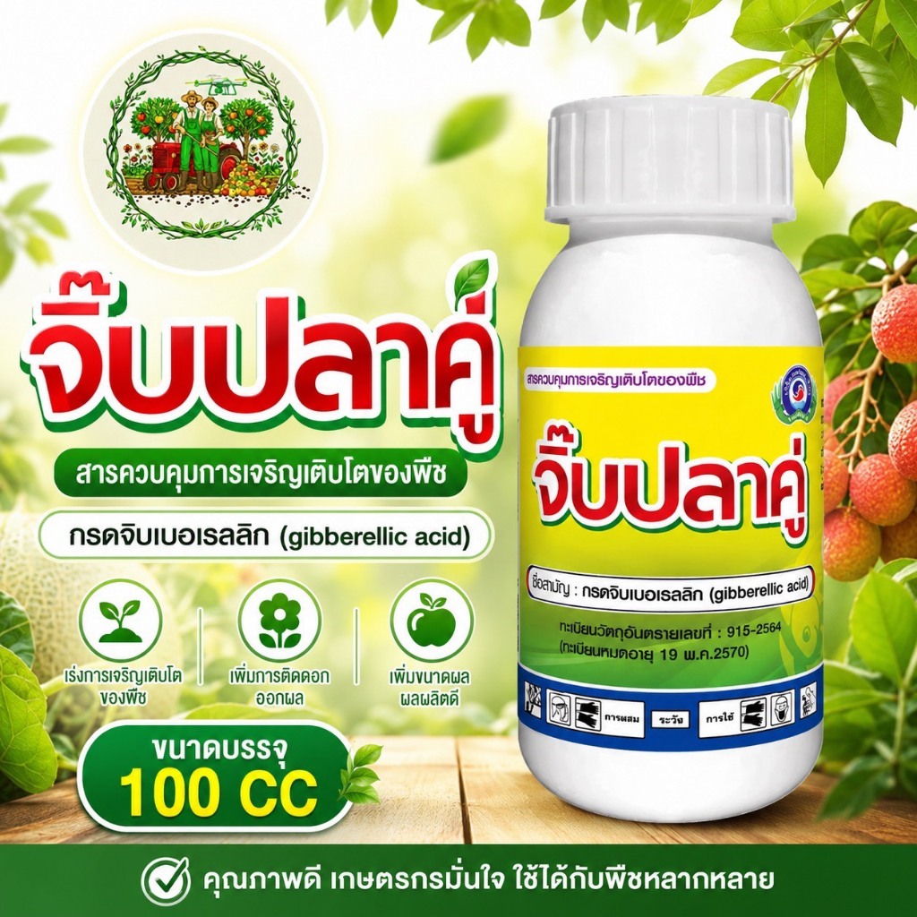 จิ๊บ ปลาคู่ กรดจิบเบอเรลลิก (gibberellic acid)4% EC ขนาด 100 ซีซี. ฮอร์โมนพืช สารควบคุมการเติบโต #เทพวัฒนา ยืดข้อดอก
