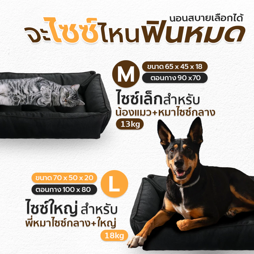 เบาะนอนสัตว์เลี้ยง Snooze เบาะนุ่ม กันน้ำ หลับสบาย ยกขอบสูง SP576