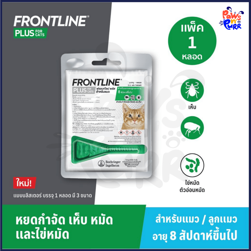 th 11134207 81ztj mek9avhkju9y09