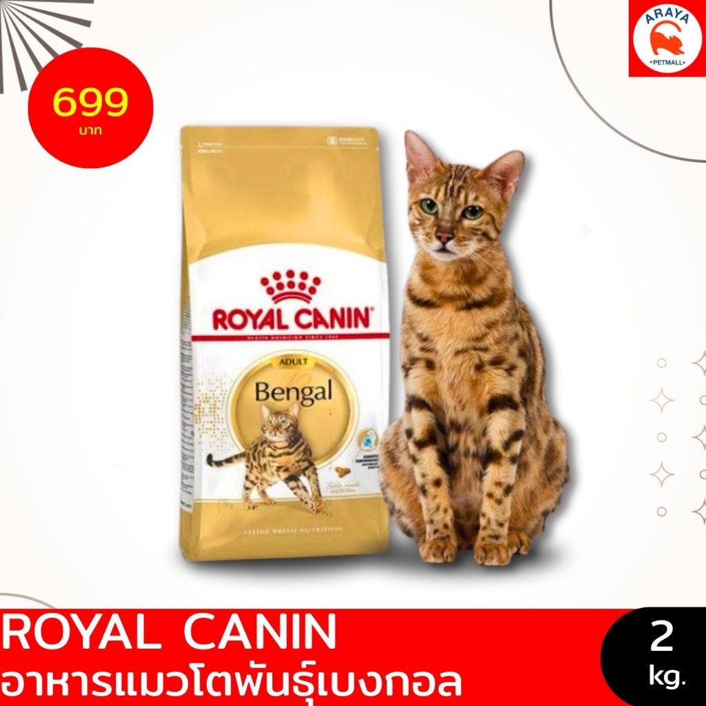  CANIN Bengal ドライフード2kg×2 Сухой корм Royal Canin Bengal Adult 2 кг (4370020) – купить онлайн