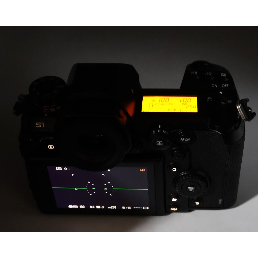 Panasonic Lumix DC-S1R Splash/Dust Rugged, 5K Video 4992x3744 200Mbps ...