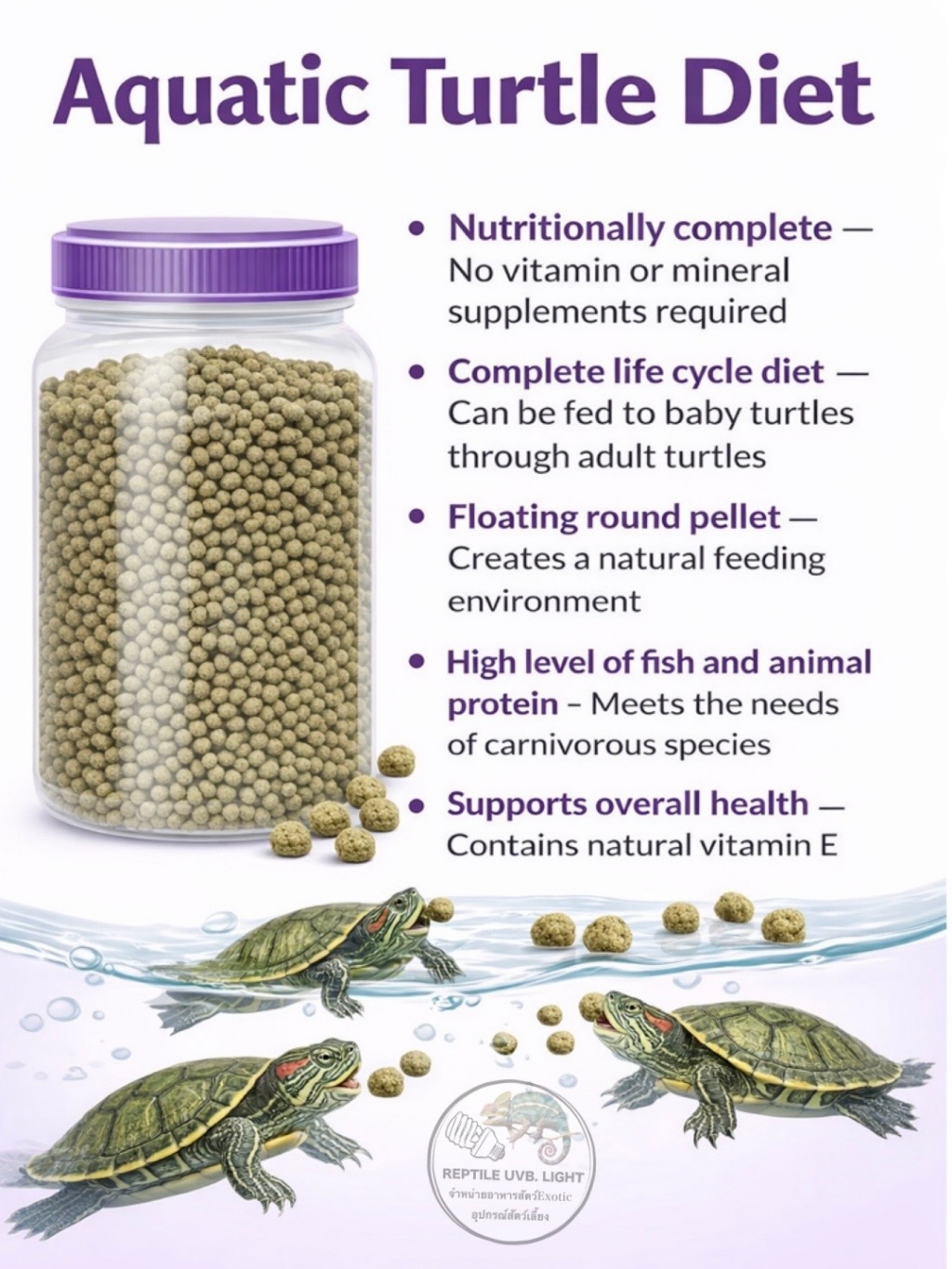 เต่าน้ำ 5M87-1 Fresh Water Turtle Diet เต่าญี่ปุ่น เต่าหมูบิน เต่าอัล ...