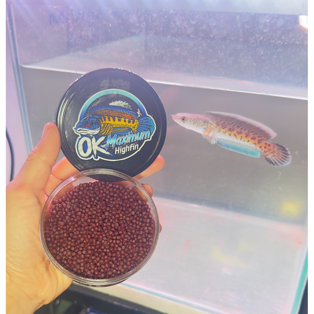 OK Maximum Highfin อาหารเร่งครีปสำหรับปลาน้ำเย็น | Shopee Thailand