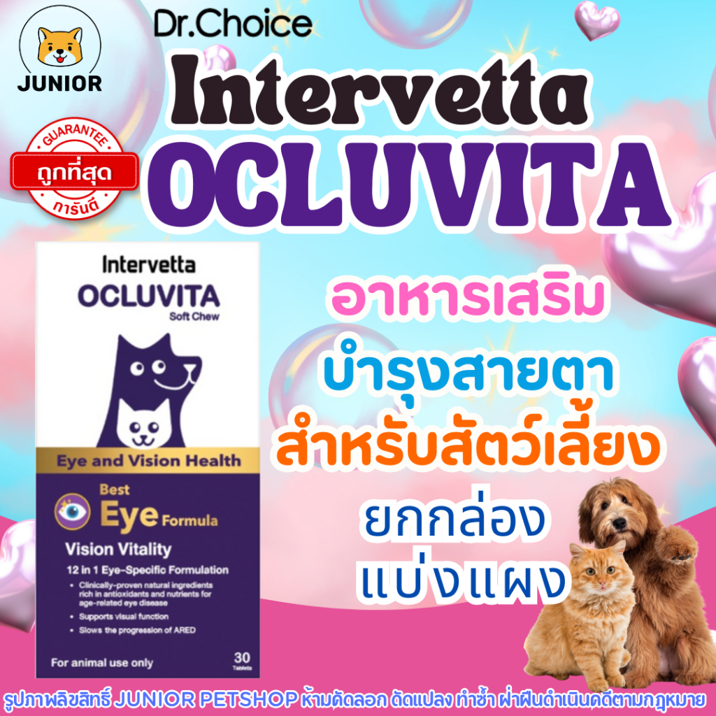 Intervetta Ocluvita Eye (Soft Chew) อาหารเสริมเพื่อบำรุงสายตาและดวงตา ...