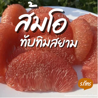 ส้มโอทับทิมสยาม ปากพนัง หวานอร่อย รับประกันเนื้อทุกลูก photo