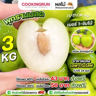📌ส่งฟรี/มีส่งด่วน 📌พุทรานมสด เบอร์สวย 3 kg ( คละเบอร์ 1- จัมโบ้ ) อร่อย ช่วงฤดูกาลสดใหม่จากสวนกาฬสินธุ์ ตัดใหม่ทุกวัน photo