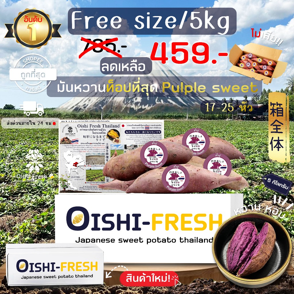 Oishi-Fresh ยกลัง5 กิโลกรัม มันหวานญี่ปุ่นสายพันธุ์ Purple Sweet ปลูก ...