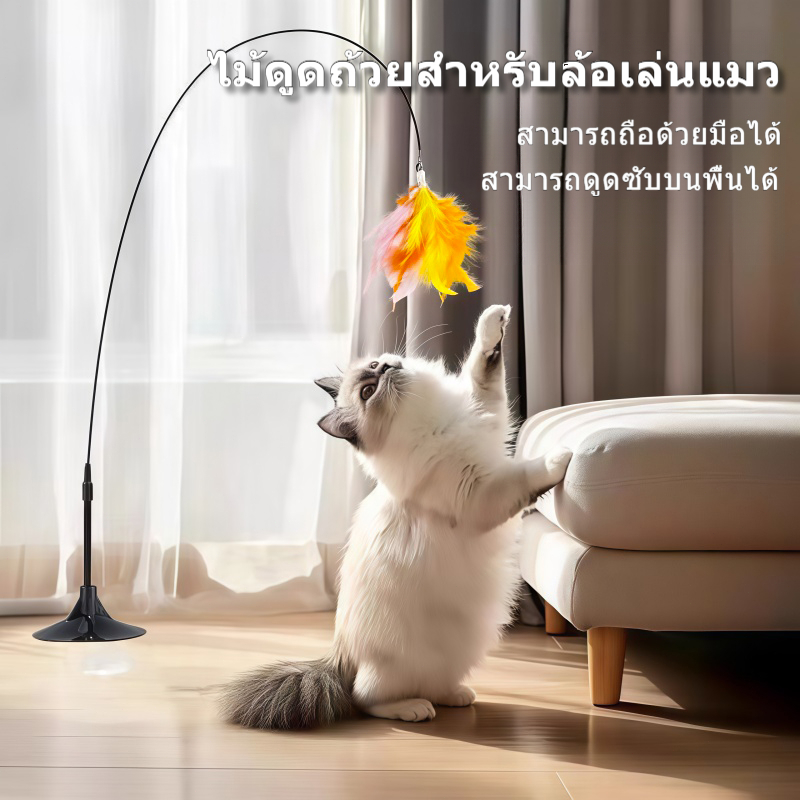 Cat wand toy with feathers and bell