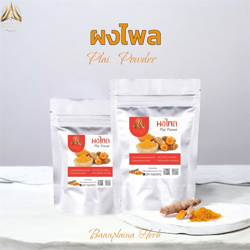 ผงไพล(Plai Powder) ขนาด50g.และ 100g. | Shopee Thailand