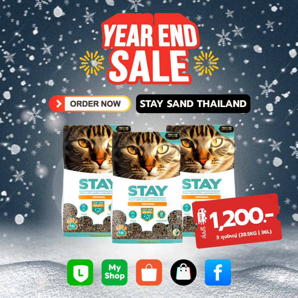 STAY 12Lx3 ถุง Pack สุดคุ้ม ทรายแมวจากใจคนเลี้ยงแมว | Shopee Thailand