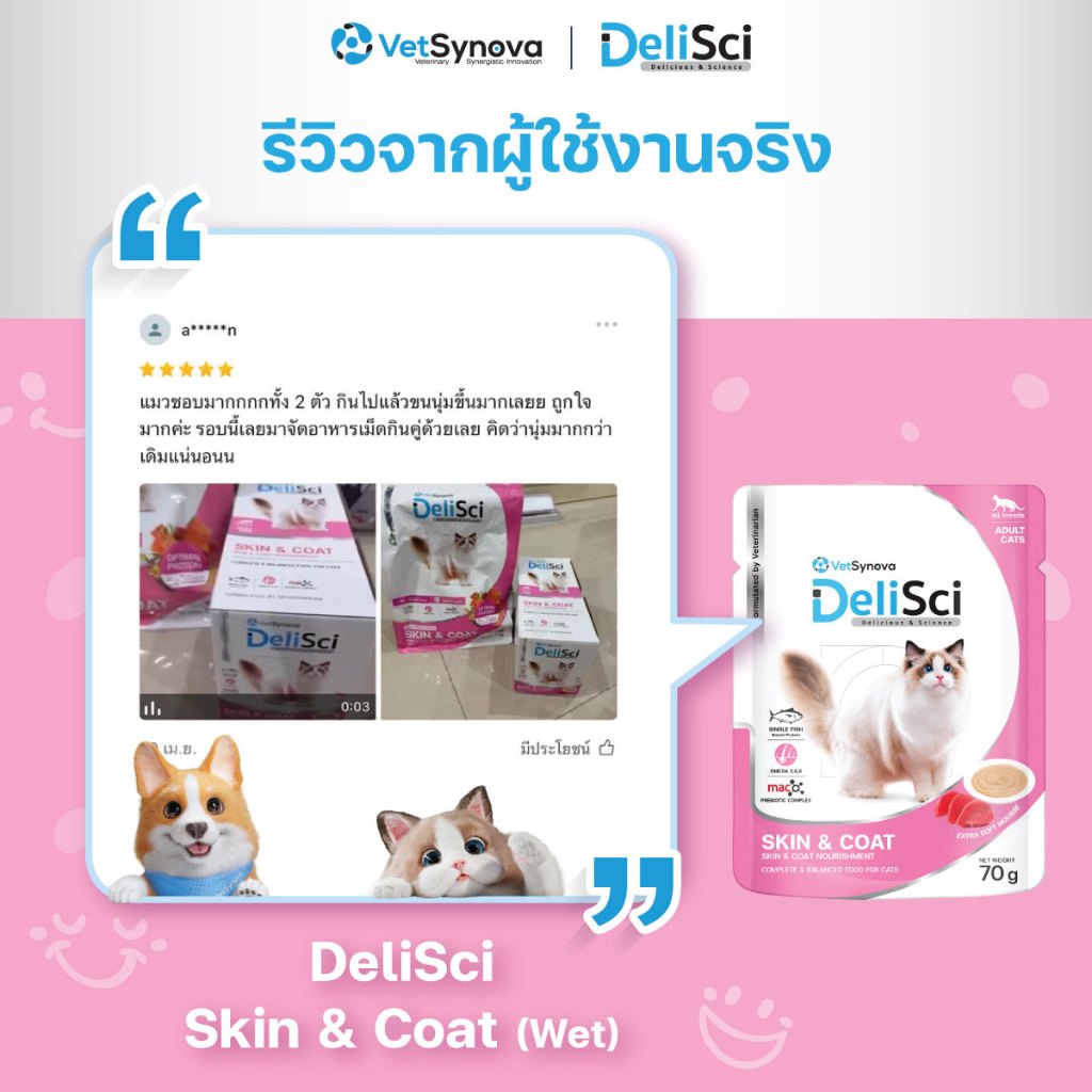 DeliSci Skin & Coat Cat อาหารเปียก
