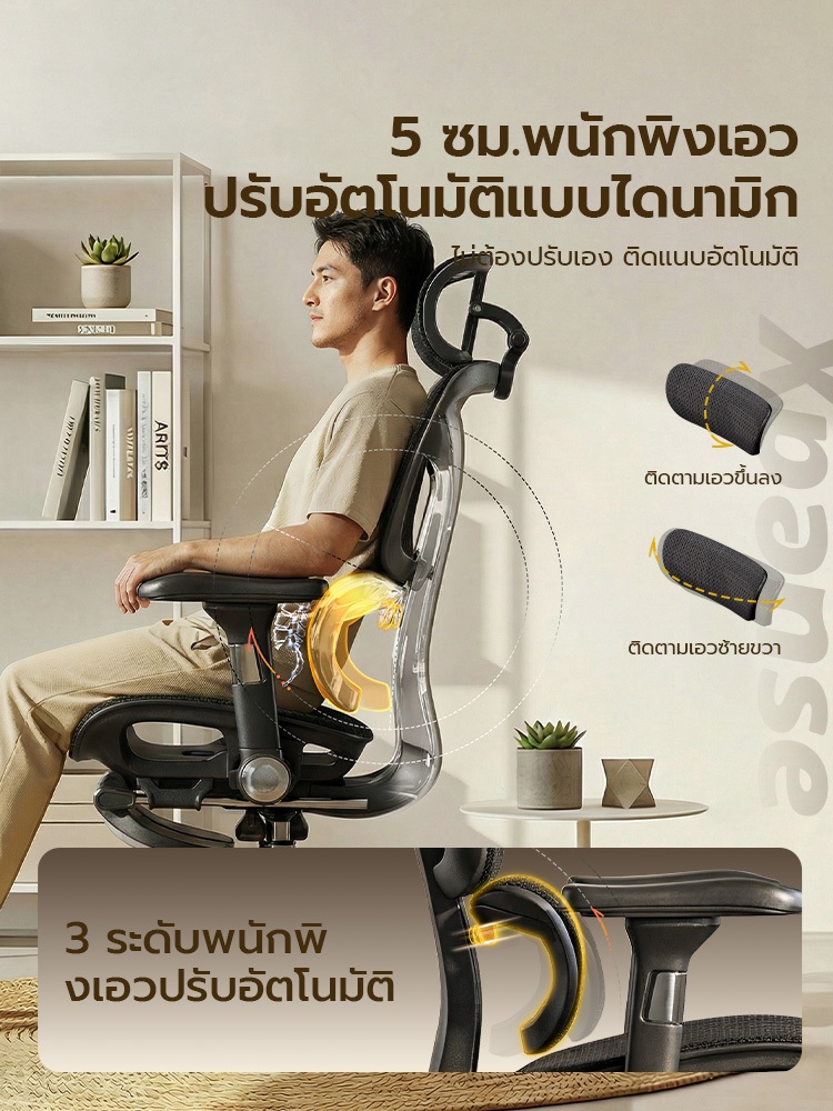 Xpanse S025 พนักพิงเอวพรีเมียม เก้าอี้สำนักงาน เก้าอี้สุขภาพ ที่วางแขน ...