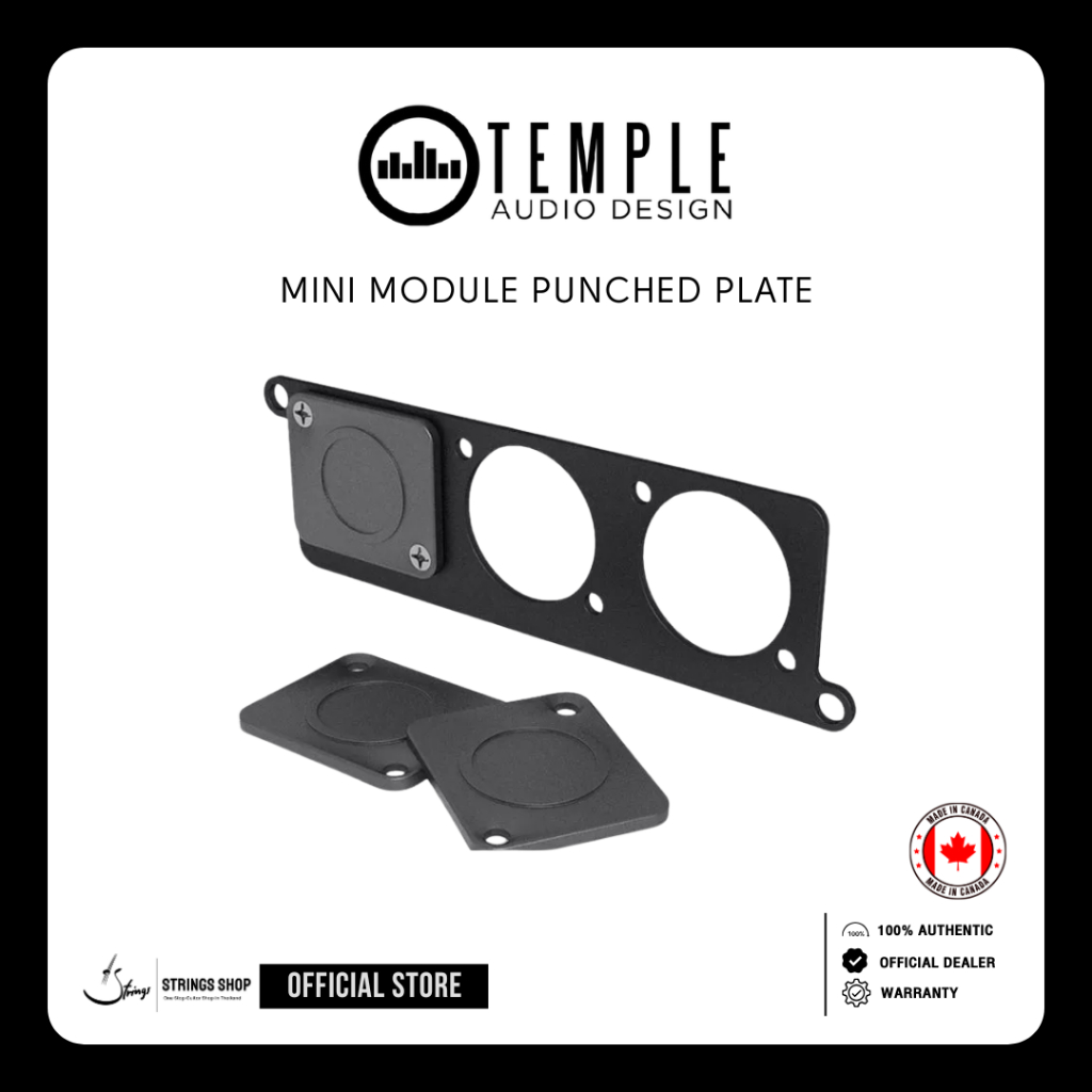 Temple Audio Mini Module Punched Plate | Shopee Thailand