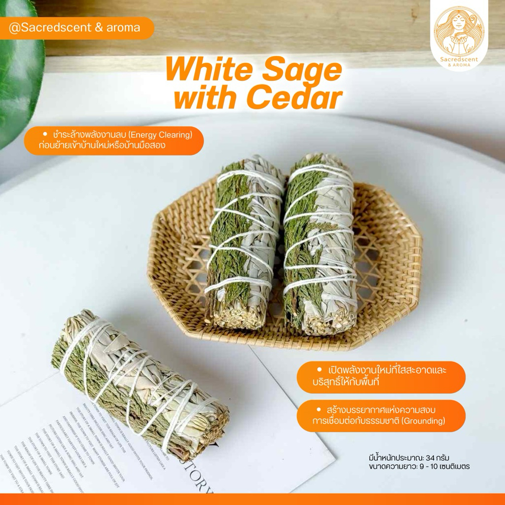White Sage+Cedar ชุดมัดรวม ไวท์เสจและใบต้นสนซีดาร์ มัดเล็ก ขนาด 9-10 CM ...