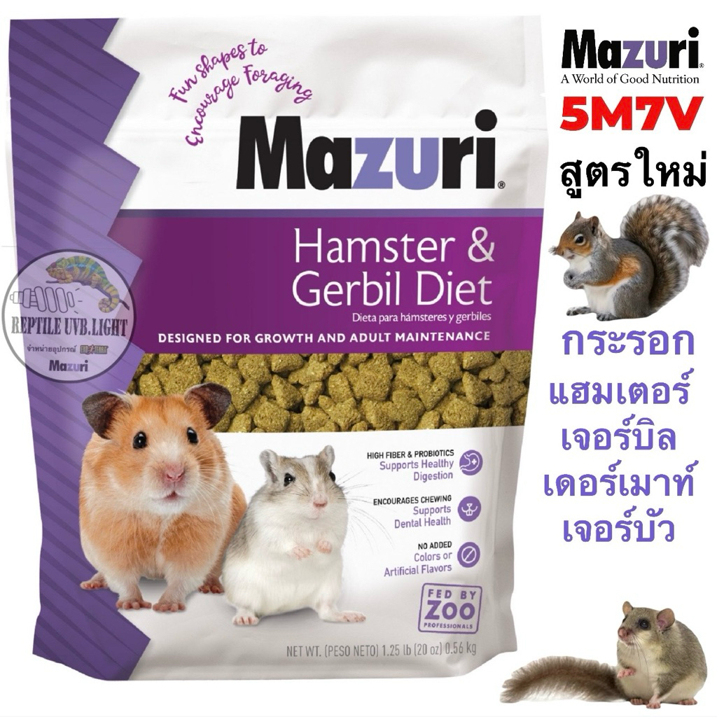 อาหารแฮมเตอร์ หนู กลุ่มสัตว์ฟันแทะกินพืช หนูRat หนูไมค์ เดอร์เม้าท์ แฮม ...