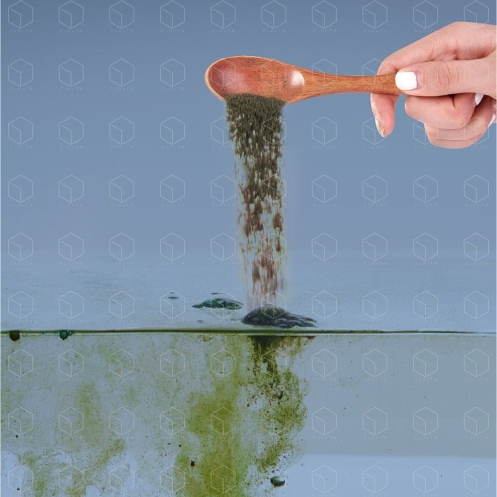 YEE ALGAE SPORE ผงสร้างตะไคร่ ผงสปอร์ตะไคร่ FISH LEBAO ปรับสภาพน้ำ ลด ...
