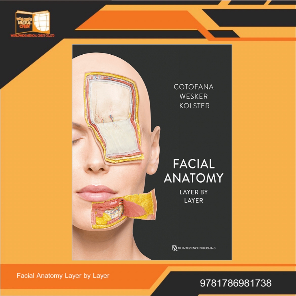 Facial Anatomy Layer by Layer | Shopee Thailand
