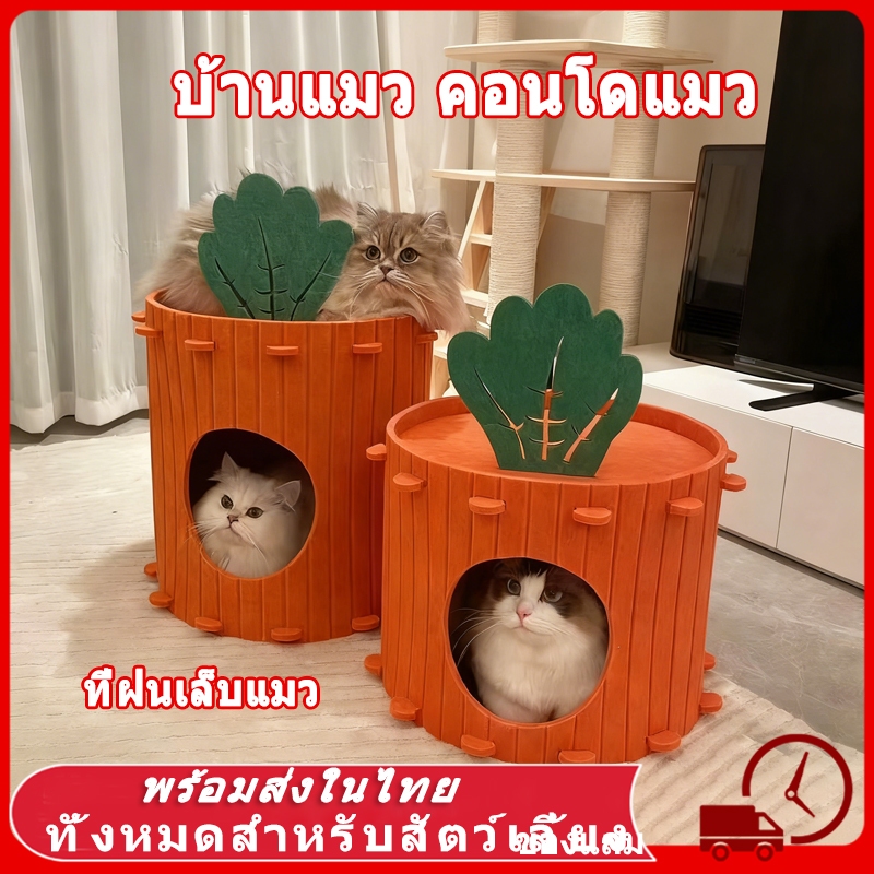 คอนโดแมว ใหญ่ บ้านแมว 2-3 ชั้น ทรงกระบอก