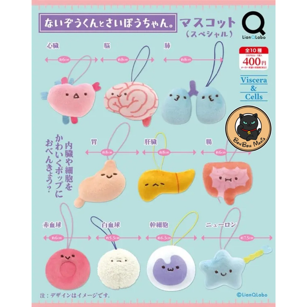 [แบบแยก-เลือกแบบได้]Gachapon Viscera-kun and Cells-chan Mascot (Special) set