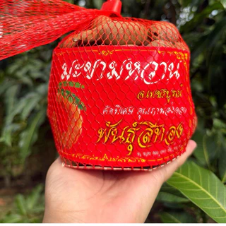 มะขามหวาน พันธุ์สีทองจาก อ.เขาค้อ จ.เพชรบูรณ์ 500 กรัม photo