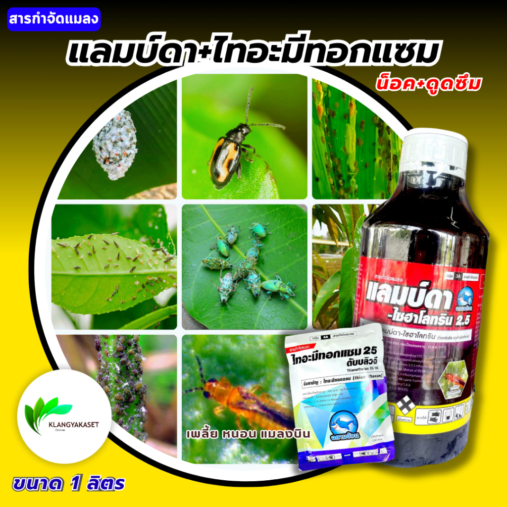 แลมบ์ดา 1 ลิตร + ไทอะ ซอง (ฉลาม) #ฉลามอ้วน แลมป์ดา-ไซฮาโลทริน แลมบ์ดา ...