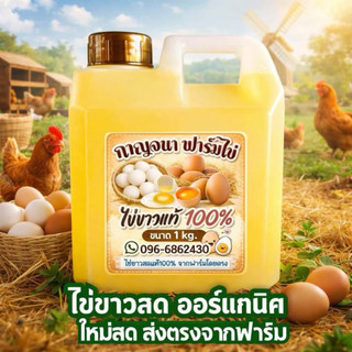 Trứng trắng trứng gà hữu cơ tươi nguyên chất 100% Trứng trắng giàu protein chất lượng cao, sử dụng ngay lập tức 💯