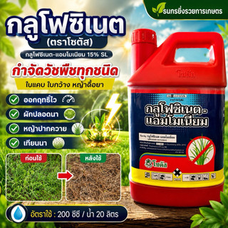 Glufosinate🌾 Chất diệt cỏ lá hẹp và lá rộng