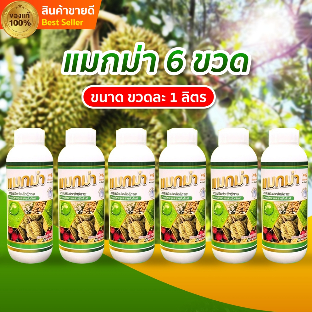 แมกม่า 6ขวด (ส่งด่วน) ปริมาณขวดละ 1ลิตร | Shopee Thailand