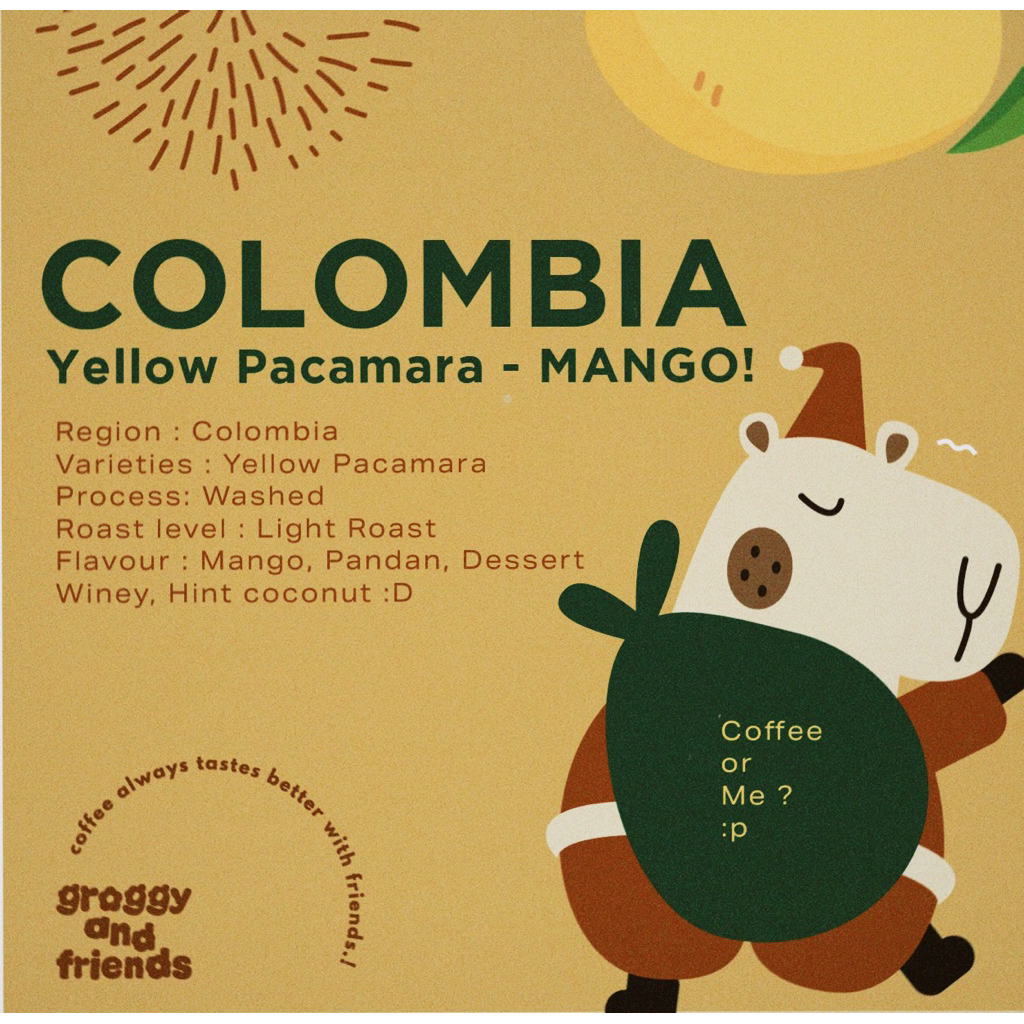 Colombia Yellow Pacamara Mango! | Shopee Thailand