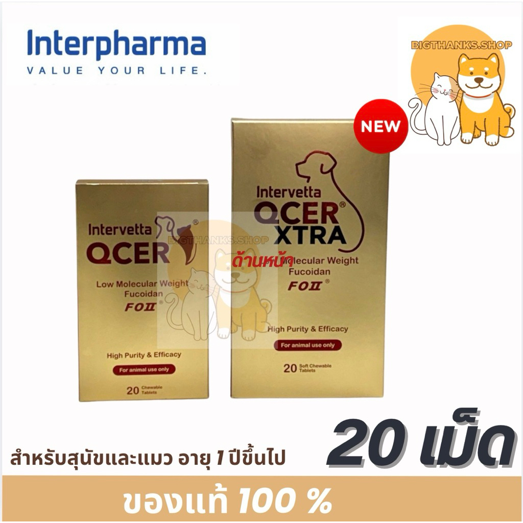 [ใหม่] Intervetta Qcer , Qcer Xtra อาหารเสริมภูมิคุ้มกันและปรับสมดุล ...