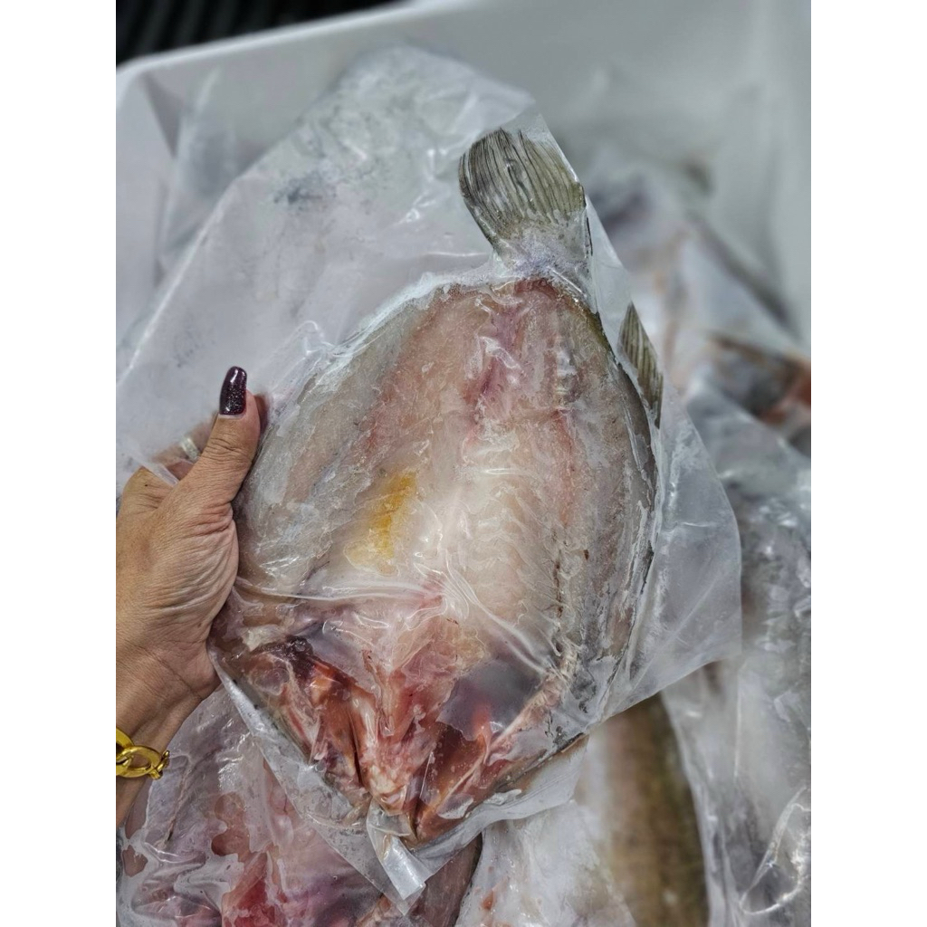 ปลากระพงแร่ผ่าผีเสื้อ(250g.-350g./ตัว) (ส่งขนส่งแช่่เย็น❄️)