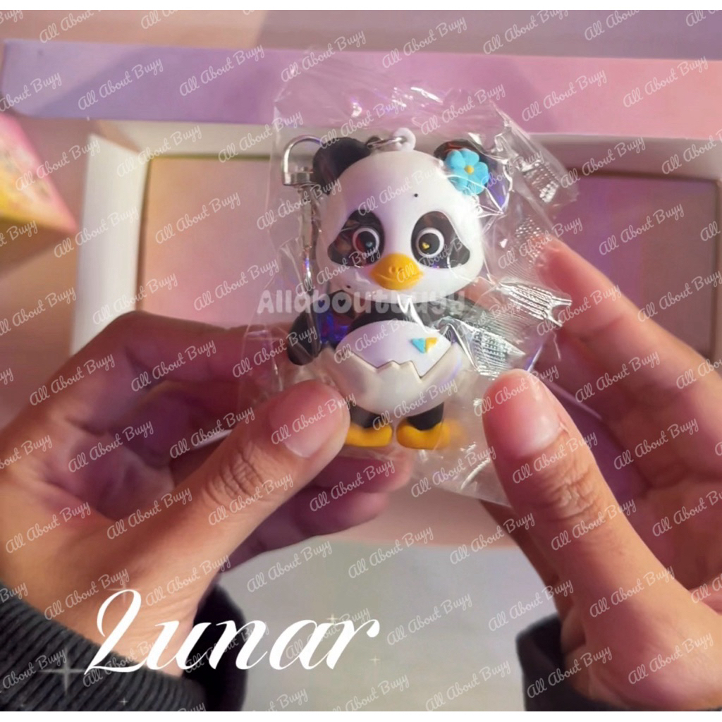 พร้อมส่ง - แบบเลือกได้) | BLUSH BLOSSOM FAN FEST 2026 : MIDNIGHT