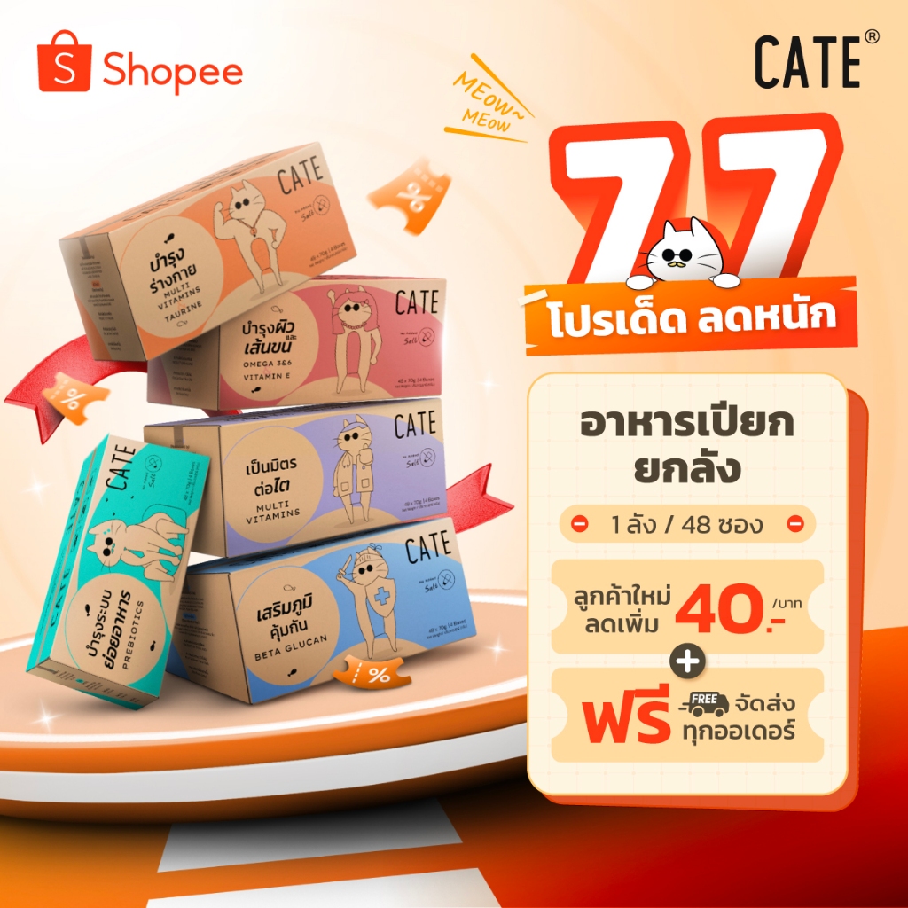 (ยกลังสุดคุ้ม) CATE Wet Food เคท อาหารเปียกแมว 5 สูตร บำรุงร่างกาย ไม่เติมเกลือ ไม่ทำร้ายไต (ยกลัง 48 ซอง)
