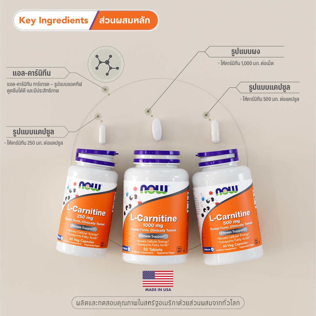 l carnitina acido alfa lipoico Amazon.com: Brieofood Acido acetil L-carnitina alfa lipoico (ALA ALC) 750  mg 120 Cpsulas : Todo lo dems