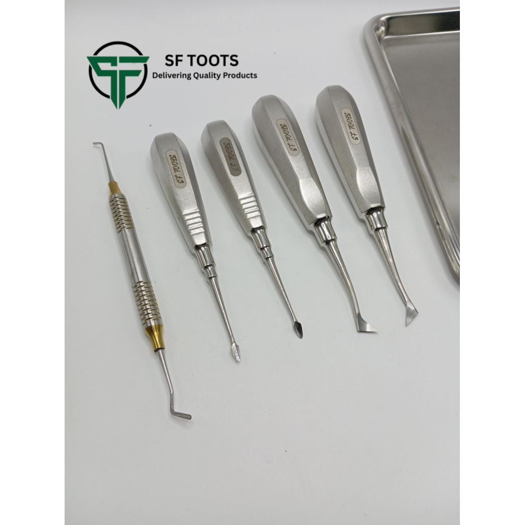 🦷 Professional Root Elevator & Filling Instrument Set (5 ชิ้น) ชุด ...