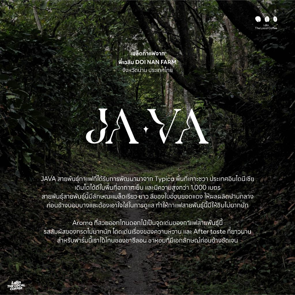 สายพันธุ์ JAVA จากพี่เฉลิม - WASHED PROCESS (03.12.68) / สวนยาหลวง ...