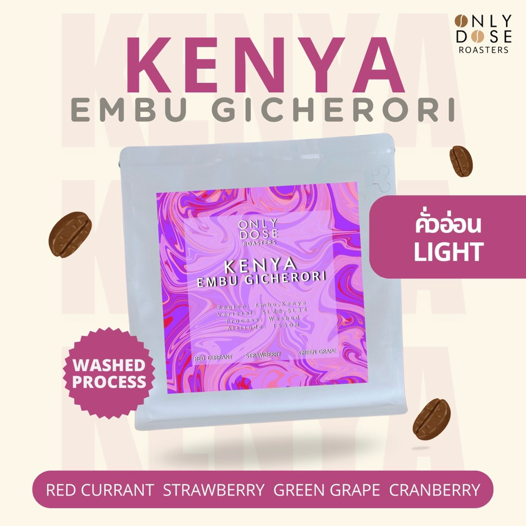เมล็ดกาแฟเคนย่า KENYA EMBU GICHERORI WASHED คั่วอ่อน ( Light ) ขนาด 200 ...