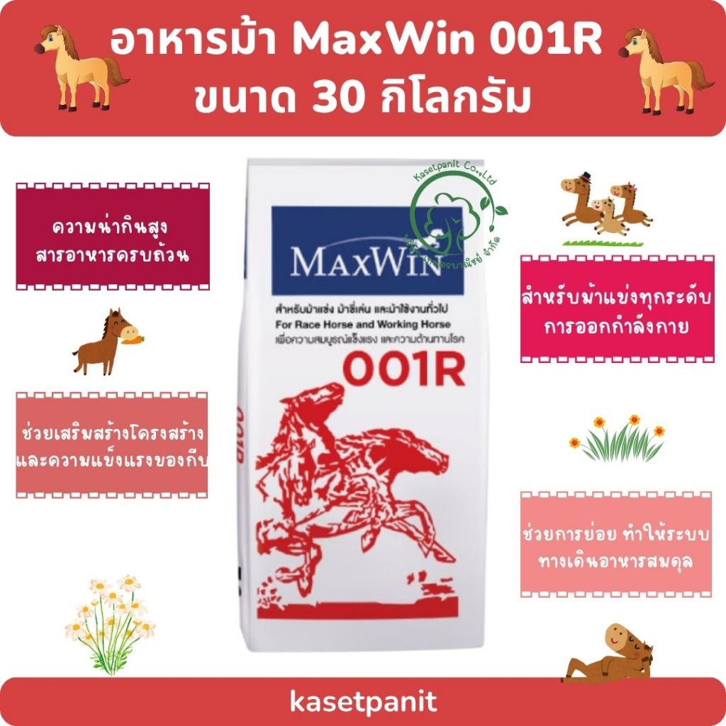 MaxWin 001R ม้าแข่ง 30 kg. | Shopee Thailand