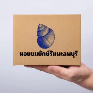 หอยขมยักษ์รัตนะลพบุรี พร้อมส่ง photo