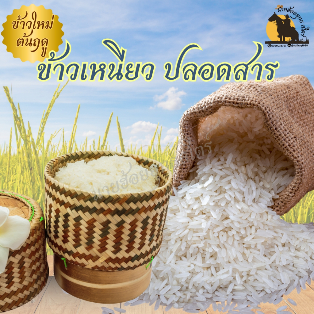 ข้าวหอมมะลิแท้ 100%  100 กรัม หุงขึ้นหม้อ ข้าวเหนียว นึ่ง อร่อย ไม่ติดมือ ตรา นายฮ้อยยุทธ