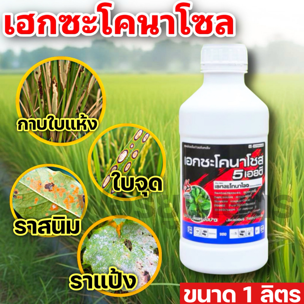 ขนาด 1 ลิตร เฮกซะโคนาโซล เฮกซาโคนาโซล กำจัดเชื้อราในนาข้าว โรคพืช กาบใบ ...