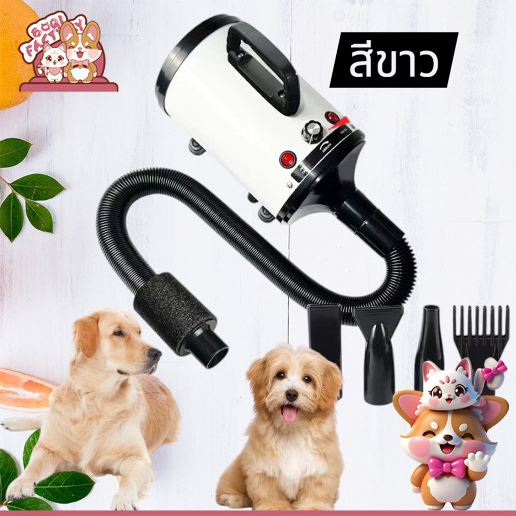 Boqi Factory YC-C4 Pet Dryer 2400W
