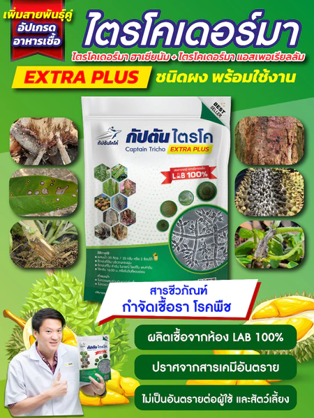 กัปตันไตรโค ไตรโคเดอร์ม่า สายพันธุ์คู่ สูตรเข้มข้น แบบผง(500กรัม) ปลอดภัย 100 %